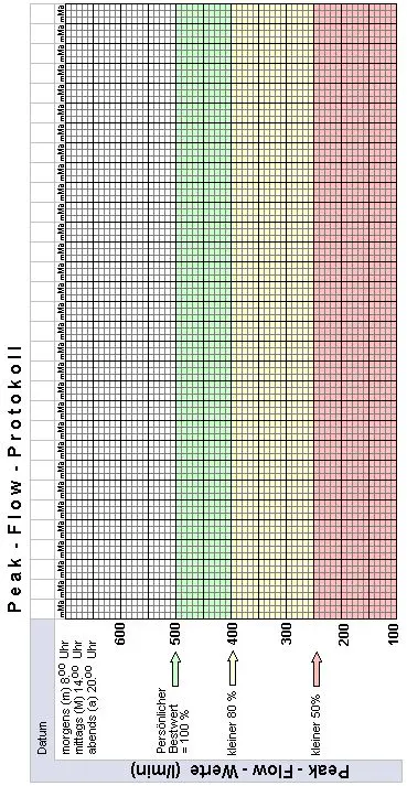 Peak-Flow-Protokoll