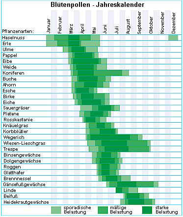 Pollenflug - Jahresbersicht
