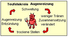 Teufelskreis der Augenreizung bei Konjuktivitis