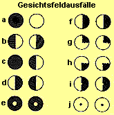 Bei einer Schdigung der Sehbahn knnen, je nach Lokalisation, unterschiedliche Bereiche des Gesichtsfeldes ausfallen.