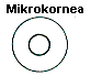 Mikrokornea