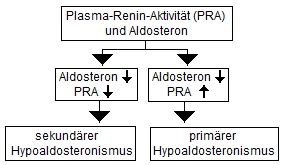 Reninaktivitt entscheidet die Differenzierung in primr und sekundr.