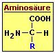 Die chemische Strukur einer Aminosäure ist immer gleich.