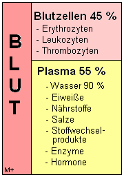 Zusammensetzung des Blutes