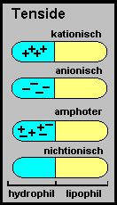 Tenside enthalten Ionen mit unterschiedlicher elektrischer Ladung.