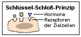 Schlssel-Schlo-Prinzip