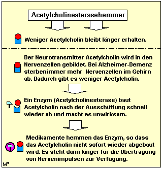 Wirkprofil der Acetylcholinesterasehemmer