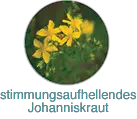 Stimmungsaufhellendes Johanniskraut
