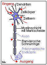 epub organisation von supply chain management theoretische konzeption und empirische