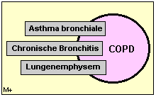 COPD ist eine Überschneidung verschiedener Symptomenkomplexe
