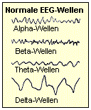 Normale EEG-Wellenmuster