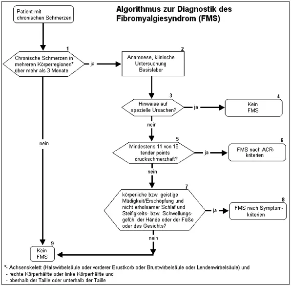 Algorithmus zur Diagnostik des Fibromyalgiesyndroms (FMS)