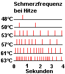 Schaubild: Schmerzfrequenz bei Hitze