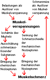 Schaubild: Entstehung von Muskelschmerzen