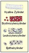 Beispiele für Zylinder
