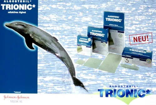 Klick liefert grosse Version des Bildes!