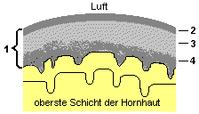 Der Trnenfilm hat verschiedene Schichten, die hier dargestellt werden.