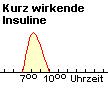 Wirkprofil des kurz wirkenden Insulins