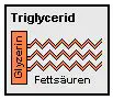 Triglyceride bestehen aus einem Molekül Gycerin und drei Fettsäuren.