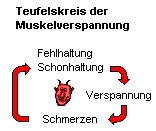 Teufelskreis Muskelverspannung