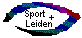 Schmerzen im Sport