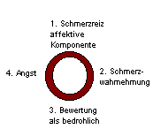 Kreislauf: Wahrnehmung, Angst, Schmerz.