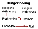 Fibrinbildung